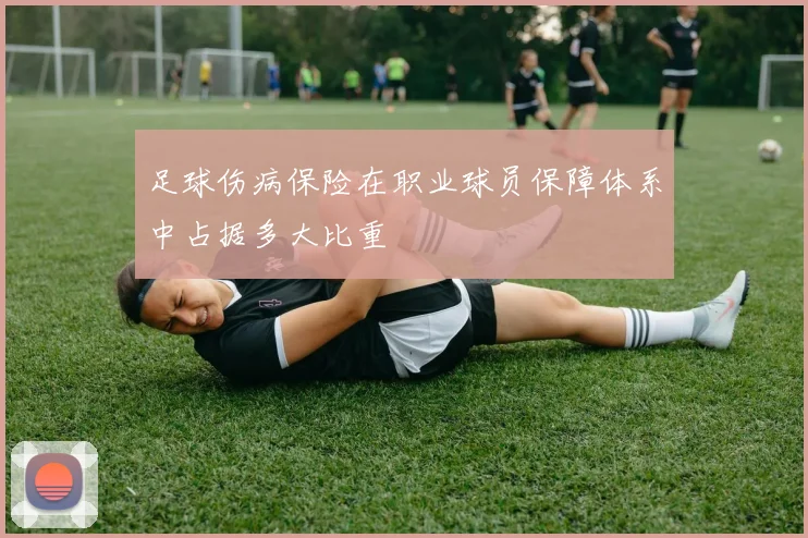 足球伤病保险在职业球员保障体系中占据多大比重