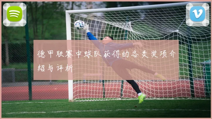 德甲联赛中球队获得的各类奖项介绍与评析