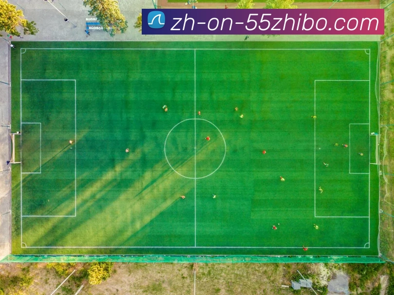 55直播平台生态图